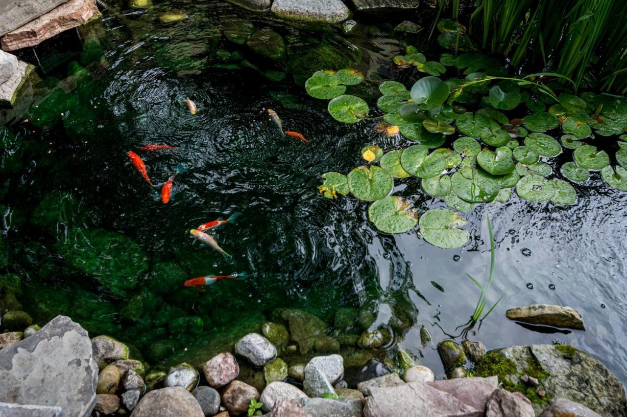 The Secret Garden Inn Kingston Buitenkant foto